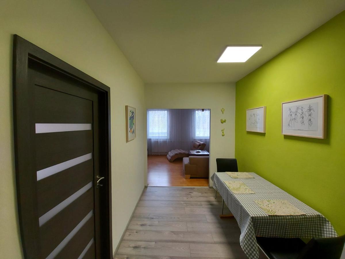 Apartman Eva - Plne Vybaveny Byt - Týn nad Vltavou 외부 사진